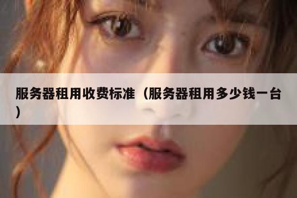 服务器租用收费标准（服务器租用多少钱一台） 第1张
