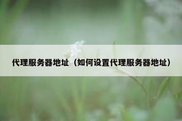 代理服务器地址（如何设置代理服务器地址） 第1张