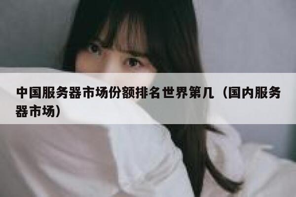 中国服务器市场份额排名世界第几（国内服务器市场） 第1张