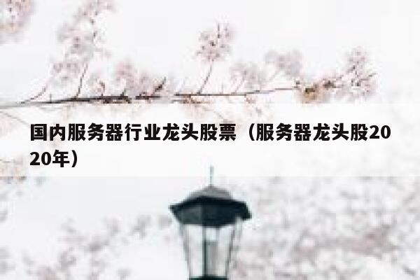 国内服务器行业龙头股票（服务器龙头股2020年） 第1张