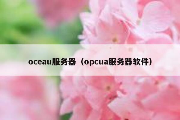 oceau服务器（opcua服务器软件） 第1张