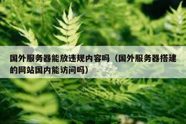 国外服务器能放违规内容吗（国外服务器搭建的网站国内能访问吗） 第1张