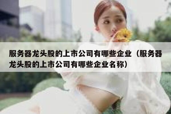 服务器龙头股的上市公司有哪些企业（服务器龙头股的上市公司有哪些企业名称） 第1张