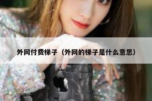 外网付费梯子（外网的梯子是什么意思） 第1张