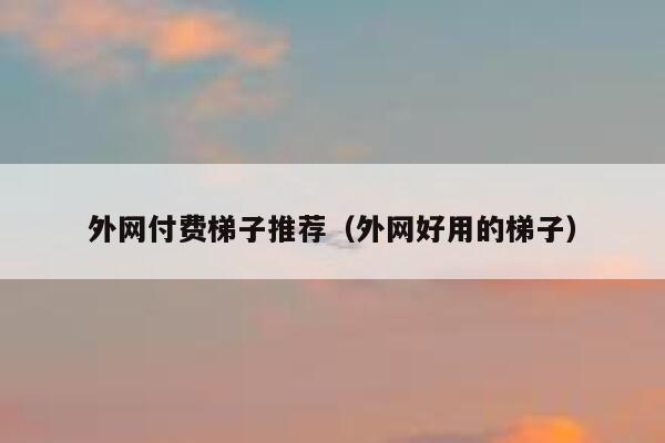 外网付费梯子推荐（外网好用的梯子） 第1张