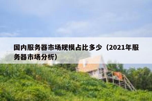 国内服务器市场规模占比多少（2021年服务器市场分析） 第1张