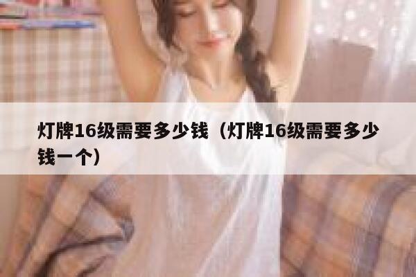 灯牌16级需要多少钱（灯牌16级需要多少钱一个） 第1张
