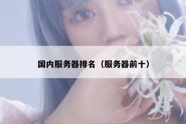 国内服务器排名（服务器前十） 第1张