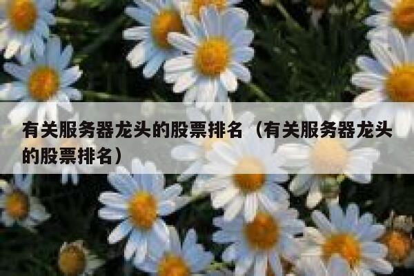 有关服务器龙头的股票排名（有关服务器龙头的股票排名） 第1张
