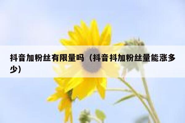 抖音加粉丝有限量吗（抖音抖加粉丝量能涨多少） 第1张