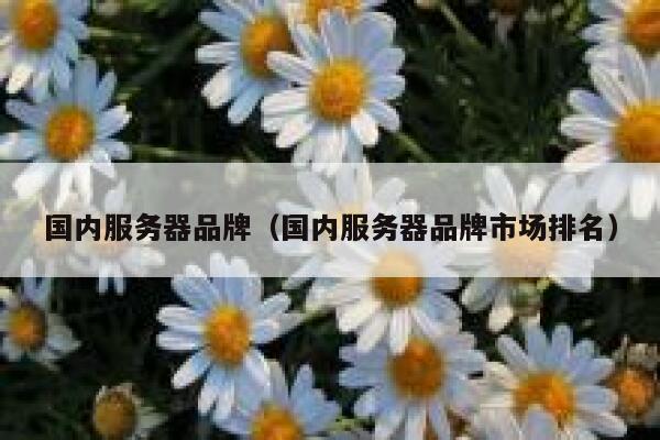国内服务器品牌（国内服务器品牌市场排名） 第1张