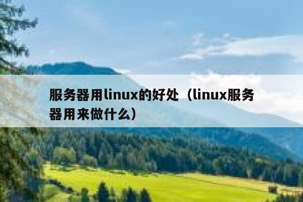 服务器用linux的好处(linux服务器用来做什么) 第1张 服务器用linux的好处(linux服务器用来做什么) 第1张