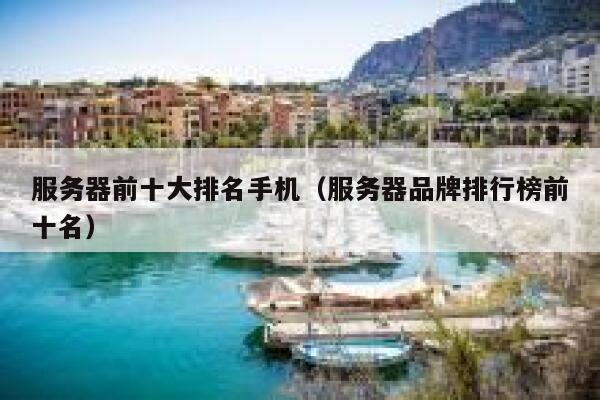 服务器前十大排名手机（服务器品牌排行榜前十名） 第1张