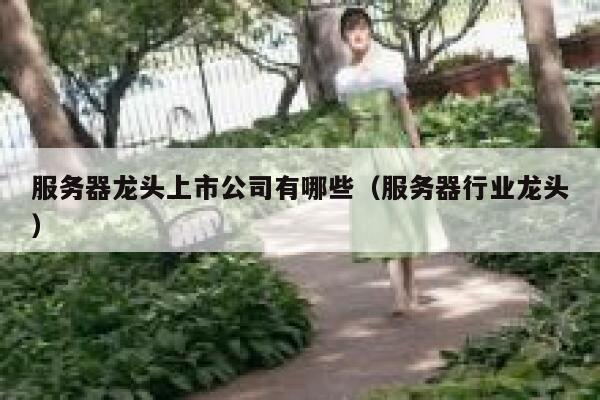 服务器龙头上市公司有哪些(服务器行业龙头) 第1张 服务器龙头上市公司有哪些(服务器行业龙头) 第1张