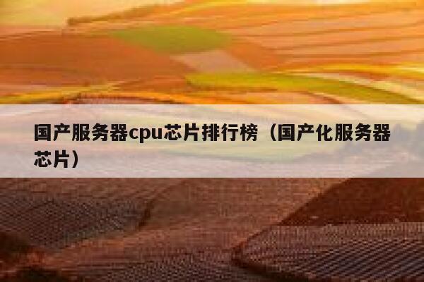 国产服务器cpu芯片排行榜（国产化服务器芯片） 第1张