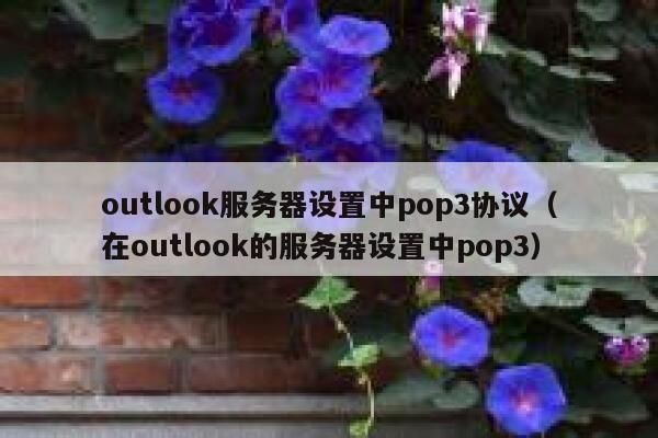 outlook服务器设置中pop3协议（在outlook的服务器设置中pop3） 第1张