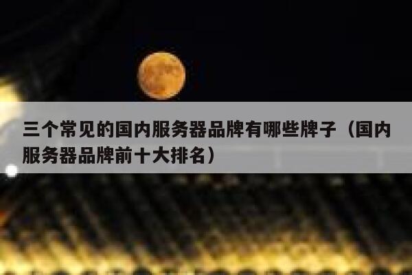 三个常见的国内服务器品牌有哪些牌子(国内服务器品牌前十大排名) 第1张 三个常见的国内服务器品牌有哪些牌子(国内服务器品牌前十大排名) 第1张