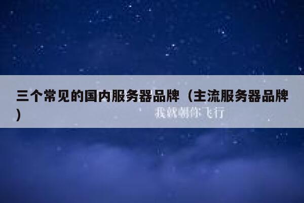 三个常见的国内服务器品牌（主流服务器品牌） 第1张