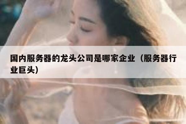 国内服务器的龙头公司是哪家企业（服务器行业巨头） 第1张