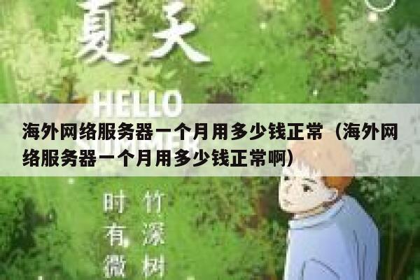 海外网络服务器一个月用多少钱正常（海外网络服务器一个月用多少钱正常啊） 第1张