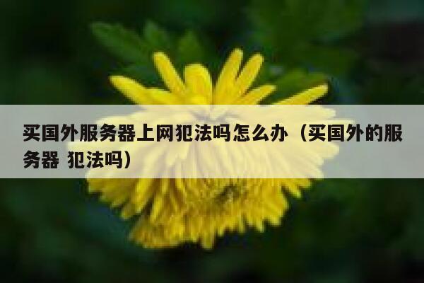 买国外服务器上网犯法吗怎么办（买国外的服务器 犯法吗） 第1张