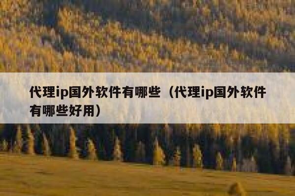 代理ip国外软件有哪些（代理ip国外软件有哪些好用） 第1张