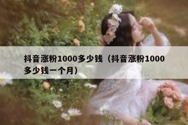 抖音涨粉1000多少钱（抖音涨粉1000多少钱一个月） 第1张