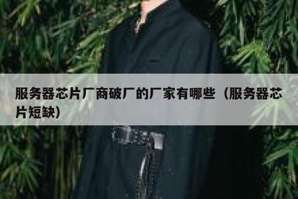 服务器芯片厂商破厂的厂家有哪些（服务器芯片短缺） 第1张