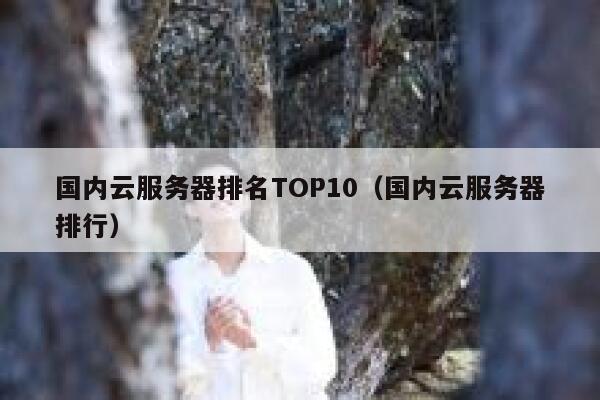 国内云服务器排名TOP10（国内云服务器排行） 第1张