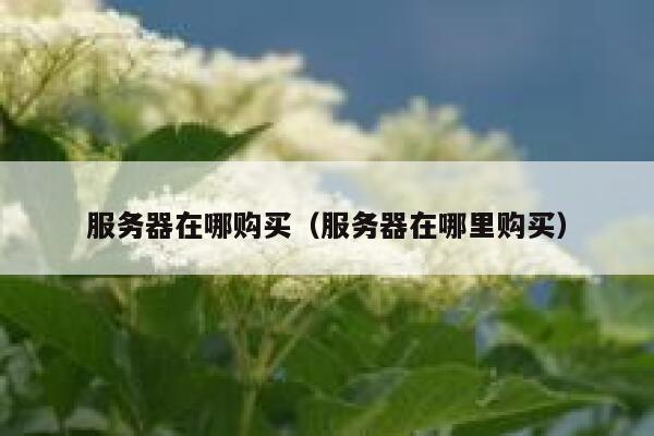 服务器在哪购买（服务器在哪里购买） 第1张