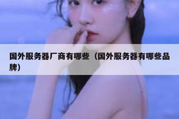 国外服务器厂商有哪些（国外服务器有哪些品牌） 第1张