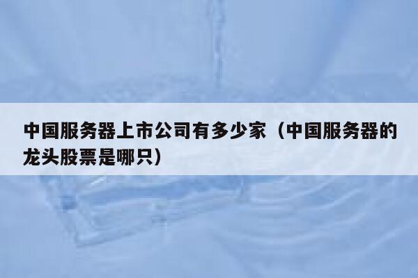 中国服务器上市公司有多少家（中国服务器的龙头股票是哪只） 第1张