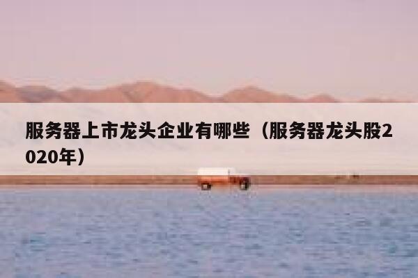 服务器上市龙头企业有哪些（服务器龙头股2020年） 第1张