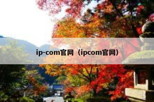 ip-com官网（ipcom官网） 第1张