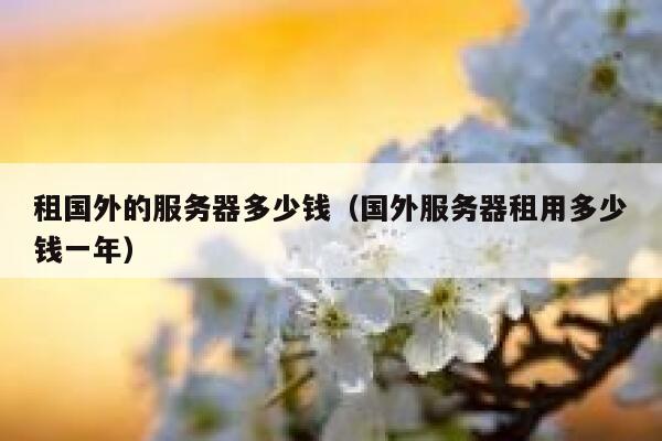 租国外的服务器多少钱（国外服务器租用多少钱一年） 第1张
