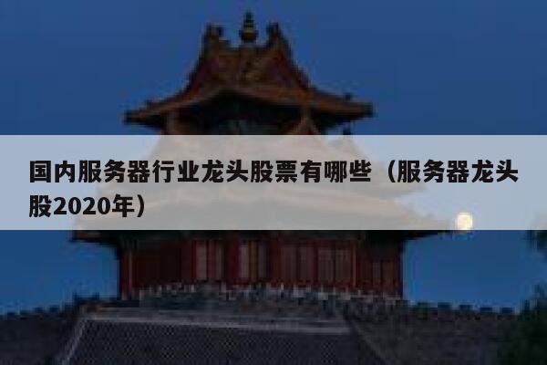 国内服务器行业龙头股票有哪些（服务器龙头股2020年） 第1张
