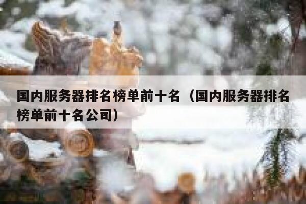 国内服务器排名榜单前十名（国内服务器排名榜单前十名公司） 第1张