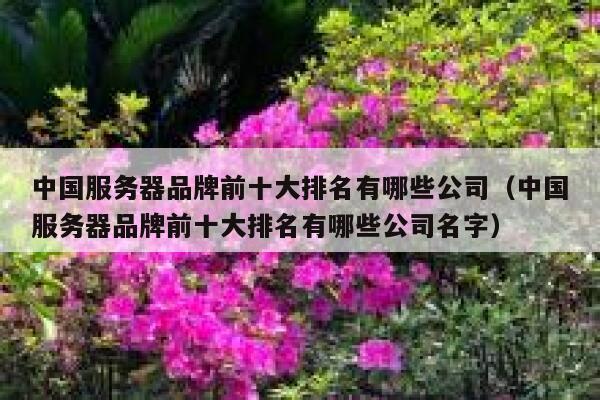 中国服务器品牌前十大排名有哪些公司（中国服务器品牌前十大排名有哪些公司名字） 第1张