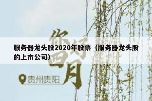 服务器龙头股2020年股票（服务器龙头股的上市公司） 第1张