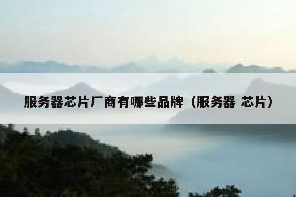服务器芯片厂商有哪些品牌（服务器 芯片） 第1张