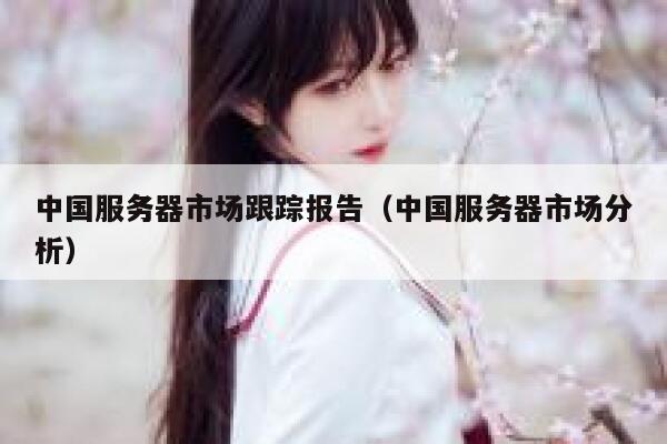 中国服务器市场跟踪报告(中国服务器市场分析) 第1张 中国服务器市场跟踪报告(中国服务器市场分析) 第1张