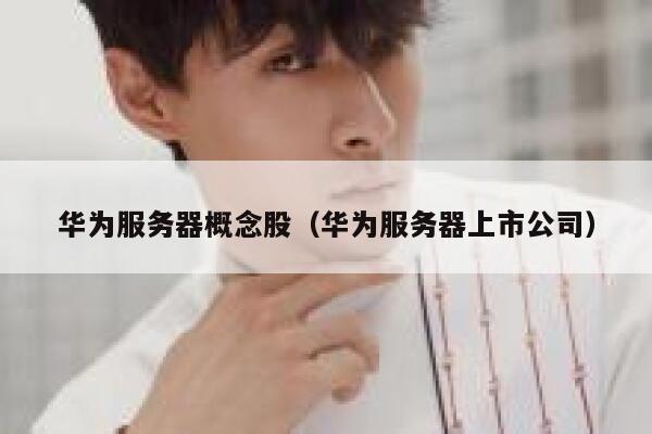 华为服务器概念股（华为服务器上市公司） 第1张