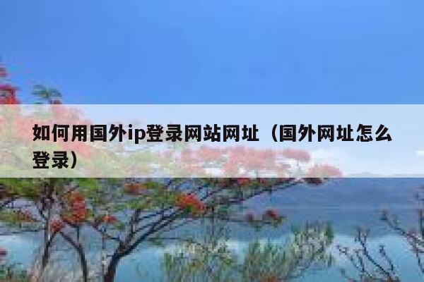 如何用国外ip登录网站网址（国外网址怎么登录） 第1张