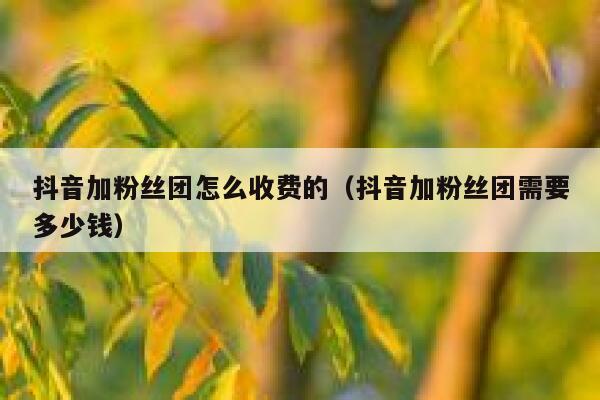 抖音加粉丝团怎么收费的（抖音加粉丝团需要多少钱） 第1张
