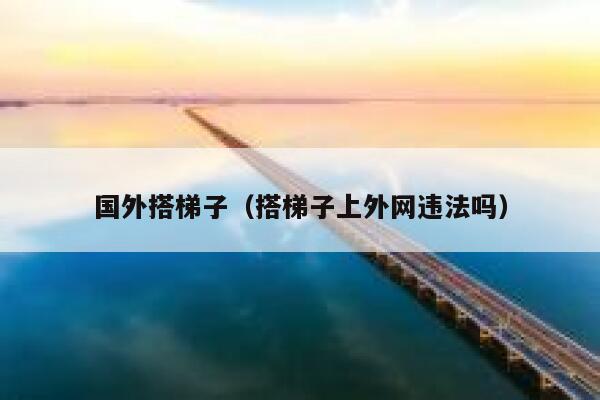 国外搭梯子（搭梯子上外网违法吗） 第1张