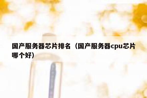 国产服务器芯片排名（国产服务器cpu芯片哪个好） 第1张