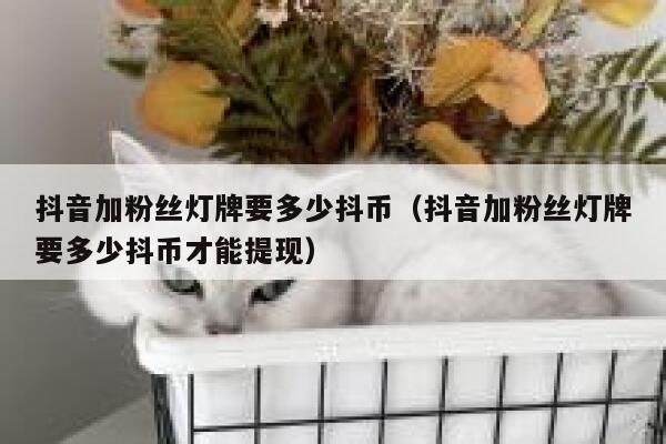 抖音加粉丝灯牌要多少抖币（抖音加粉丝灯牌要多少抖币才能提现） 第1张