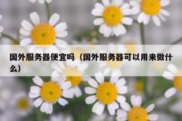 国外服务器便宜吗（国外服务器可以用来做什么） 第1张