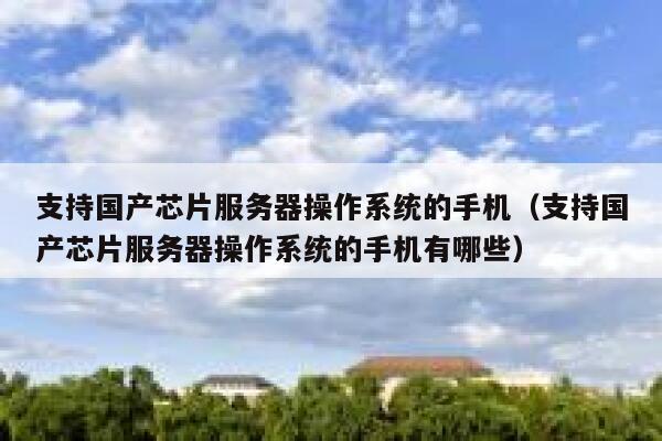支持国产芯片服务器操作系统的手机（支持国产芯片服务器操作系统的手机有哪些） 第1张
