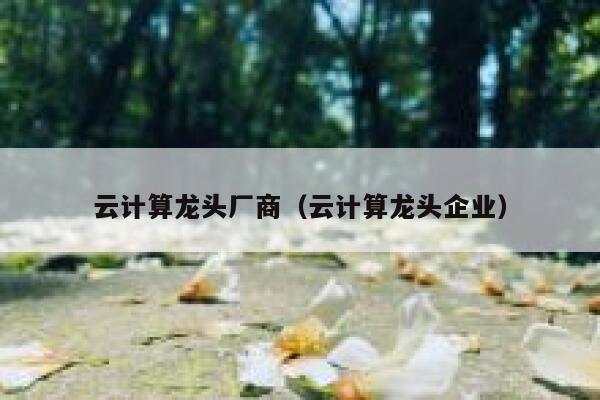 云计算龙头厂商（云计算龙头企业） 第1张